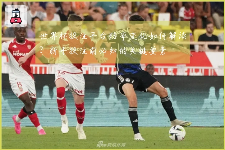 世界杯投注平台赔率变化如何解读？新手投注前必知的关键要素