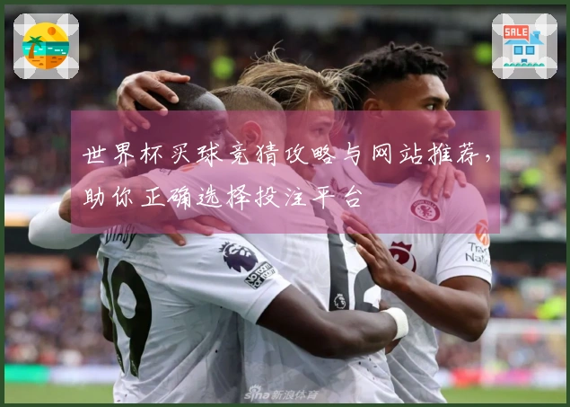 世界杯买球竞猜攻略与网站推荐，助你正确选择投注平台