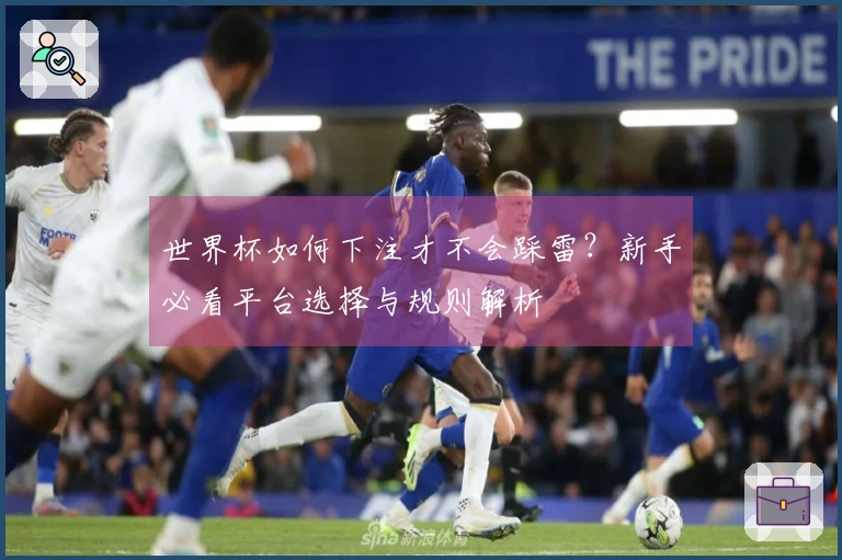 世界杯如何下注才不会踩雷？新手必看平台选择与规则解析