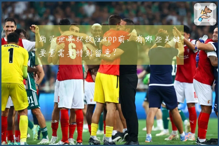 购买世界杯投注app前，有哪些关键要素需要特别留意？