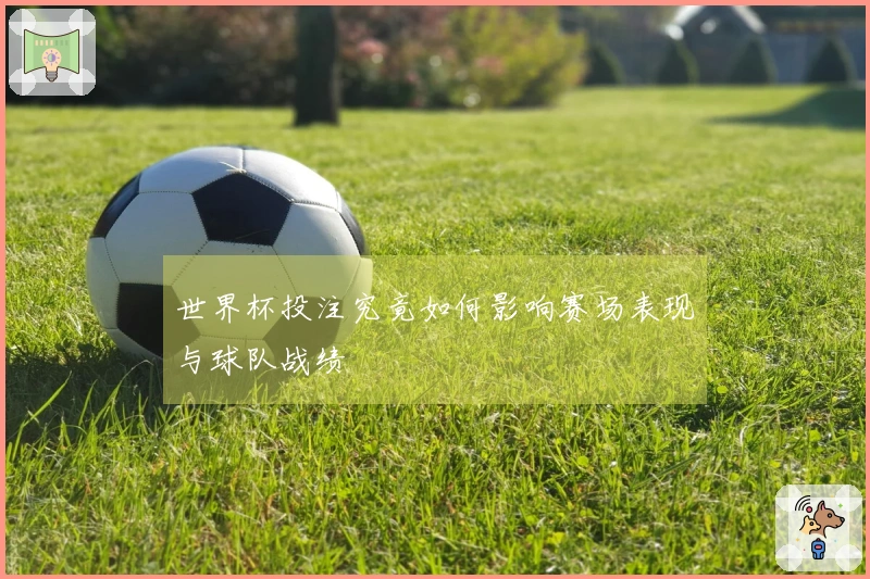 世界杯投注究竟如何影响赛场表现与球队战绩