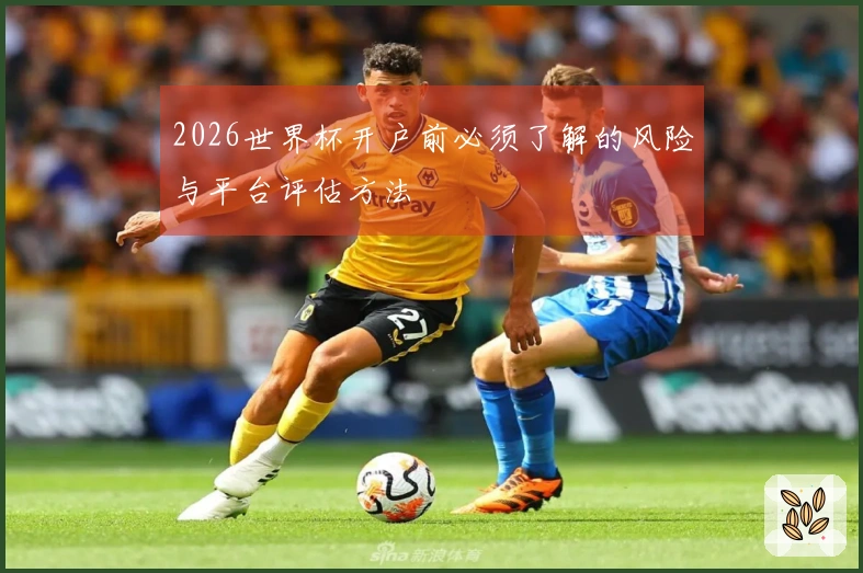 2026世界杯开户前必须了解的风险与平台评估方法