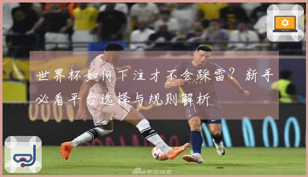 世界杯如何下注才不会踩雷？新手必看平台选择与规则解析