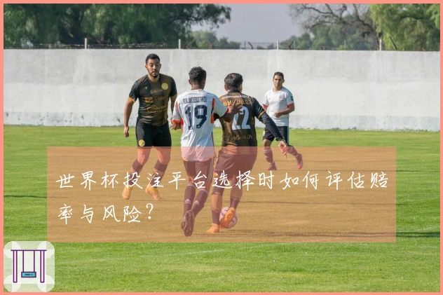 世界杯投注平台选择时如何评估赔率与风险？
