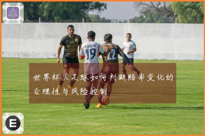 世界杯买足球如何判断赔率变化的合理性与风险控制