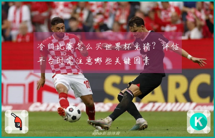 冷门比赛怎么买世界杯竞猜？评估平台时需注意哪些关键因素