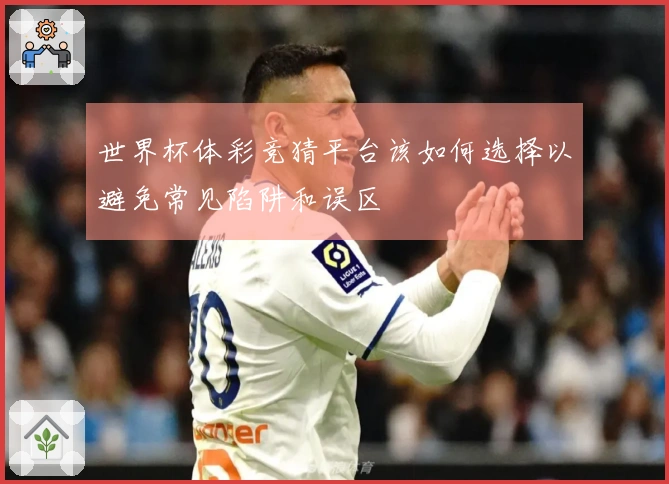 世界杯体彩竞猜平台该如何选择以避免常见陷阱和误区