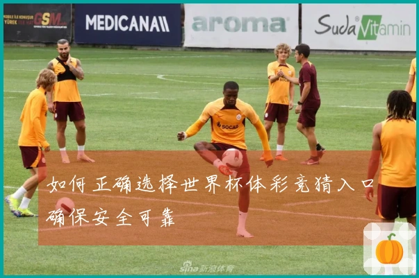 如何正确选择世界杯体彩竞猜入口确保安全可靠