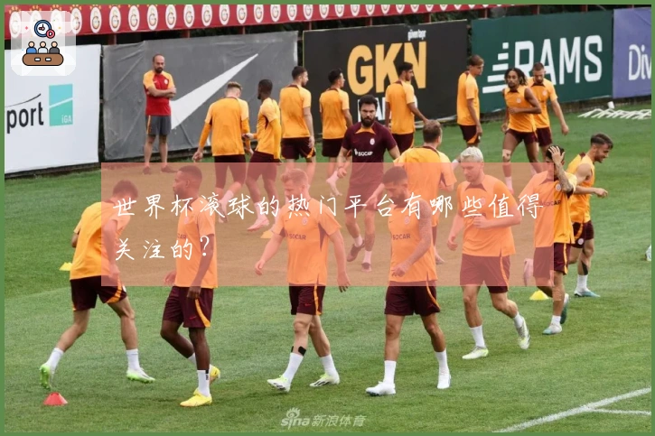 世界杯滚球的热门平台有哪些值得关注的？
