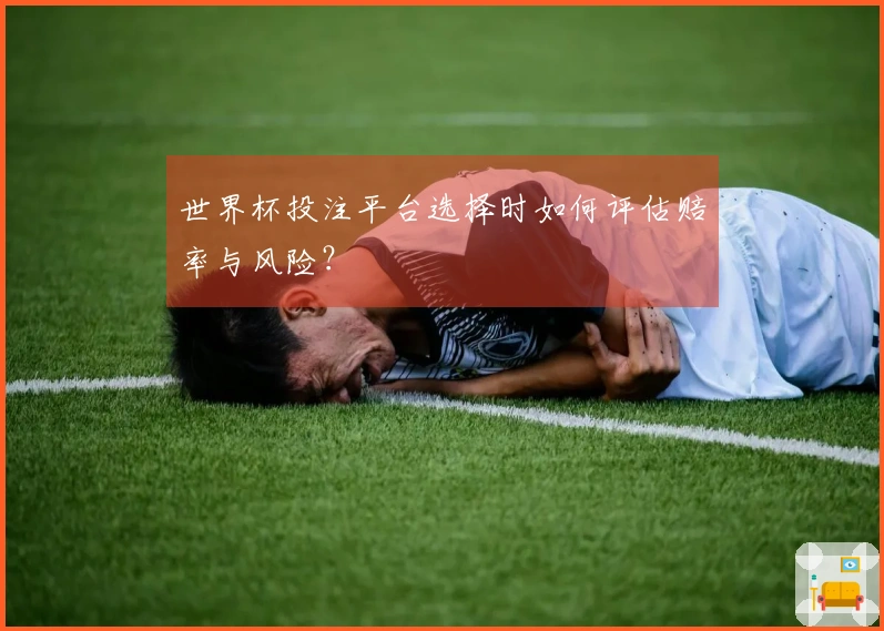 世界杯投注平台选择时如何评估赔率与风险?