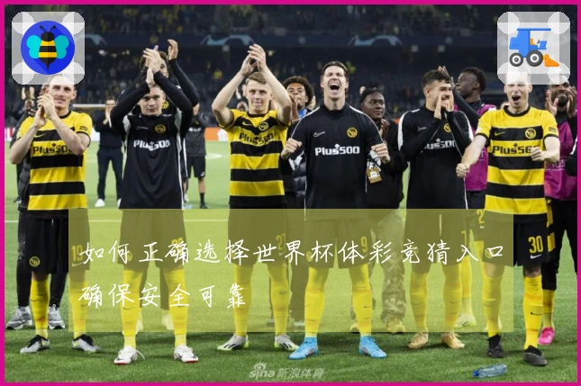 如何正确选择世界杯体彩竞猜入口确保安全可靠