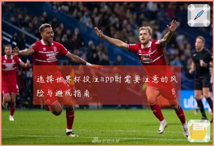 选择世界杯投注app时需要注意的风险与避坑指南