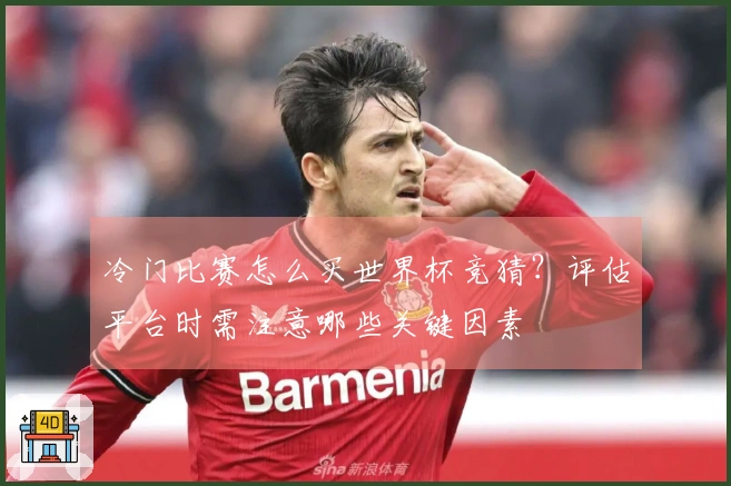 冷门比赛怎么买世界杯竞猜？评估平台时需注意哪些关键因素