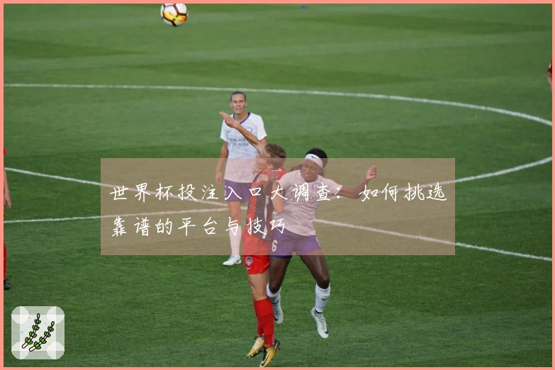 世界杯投注入口大调查：如何挑选靠谱的平台与技巧