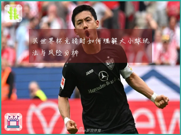 买世界杯竞猜时如何理解大小球玩法与风险分析