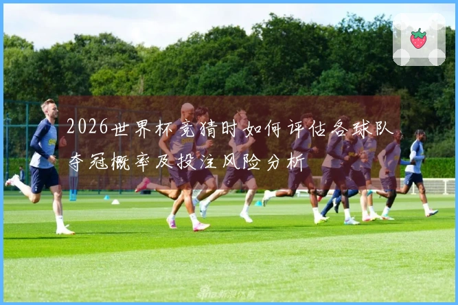 2026世界杯竞猜时如何评估各球队夺冠概率及投注风险分析