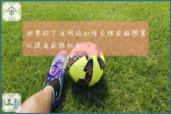 世界杯下注网站如何合理安排预算以提高获胜机会