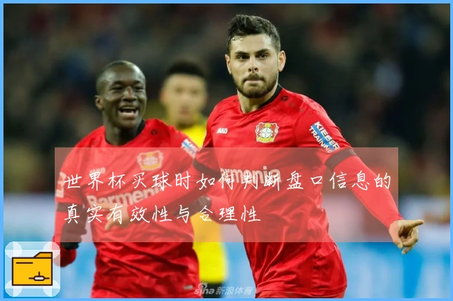 世界杯买球时如何判断盘口信息的真实有效性与合理性