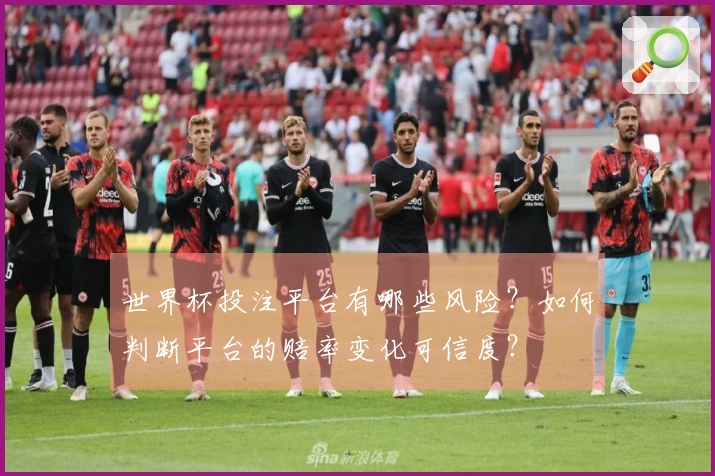 世界杯投注平台有哪些风险？如何判断平台的赔率变化可信度？