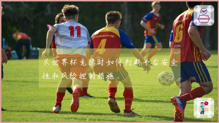 买世界杯竞猜时如何判断平台安全性和风险控制措施