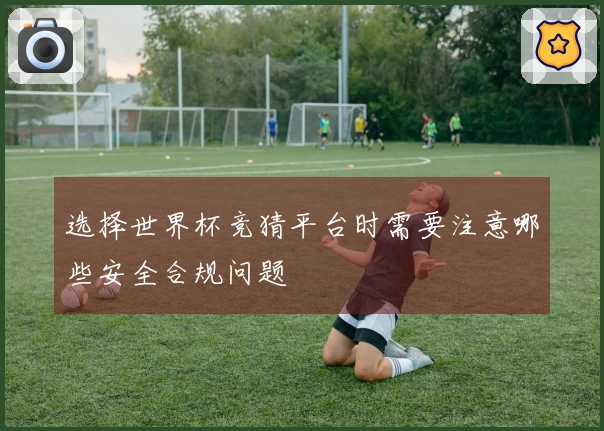 选择世界杯竞猜平台时需要注意哪些安全合规问题