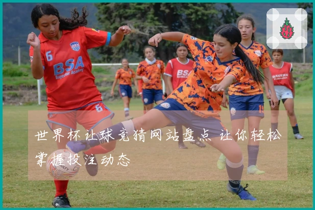 世界杯让球竞猜网站盘点 让你轻松掌握投注动态