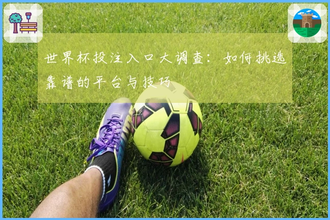 世界杯投注入口大调查：如何挑选靠谱的平台与技巧
