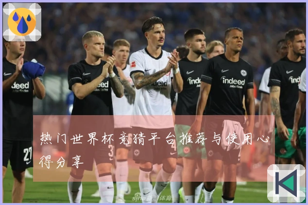 热门世界杯竞猜平台推荐与使用心得分享