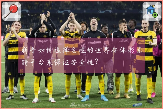 新手如何选择合适的世界杯体彩竞猜平台来保证安全性？