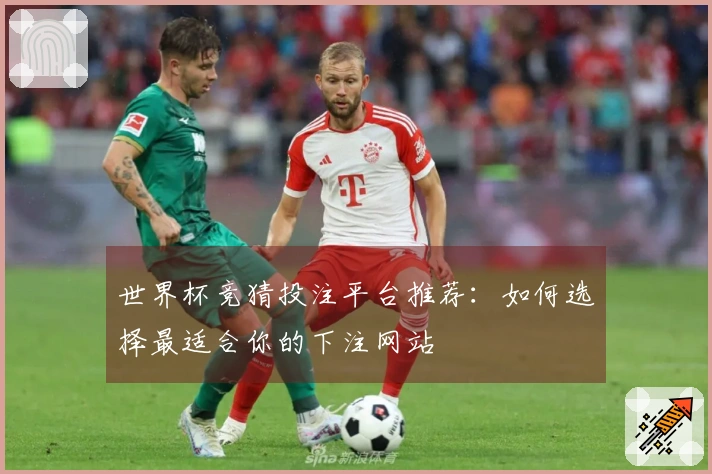 世界杯竞猜投注平台推荐：如何选择最适合你的下注网站