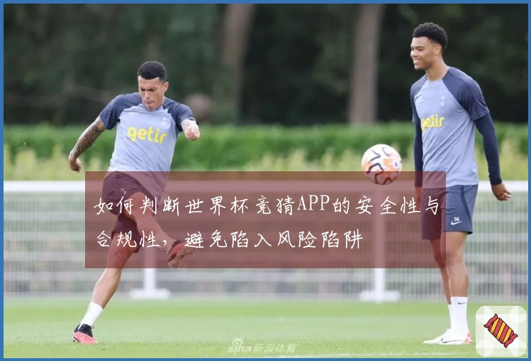 如何判断世界杯竞猜APP的安全性与合规性，避免陷入风险陷阱
