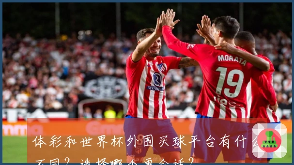 体彩和世界杯外围买球平台有什么不同？选择哪个更合适？