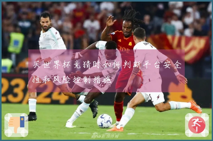 买世界杯竞猜时如何判断平台安全性和风险控制措施