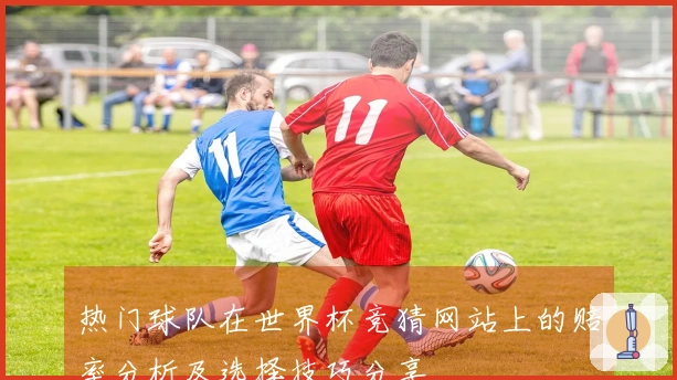 热门球队在世界杯竞猜网站上的赔率分析及选择技巧分享