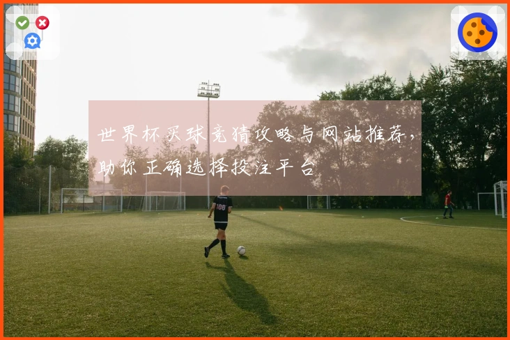 世界杯买球竞猜攻略与网站推荐，助你正确选择投注平台