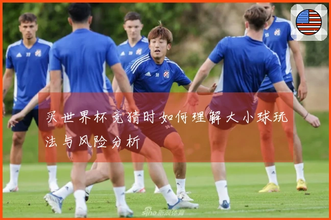 买世界杯竞猜时如何理解大小球玩法与风险分析